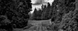 Panoramic Sahalee Country Club Number One black and white Photos