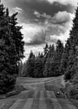 Vertical Sahalee Country Club Number One black and white Photos