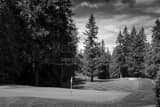 Horizontal Sahalee Country Club Number Five landscape black and white Photography