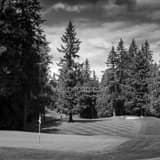 Square Sahalee Country Club Number Five landscape black and white Photography