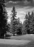 Vertical Sahalee Country Club Number Five landscape black and white Photography