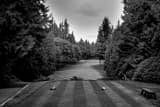 Horizontal Sahalee Country Club Number Seven landscape black and white Photography