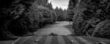 Panoramic Sahalee Country Club Number Seven landscape black and white Photography