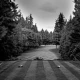 Square Sahalee Country Club Number Seven landscape black and white Photography