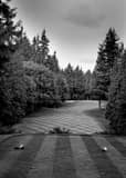 Vertical Sahalee Country Club Number Seven landscape black and white Photography