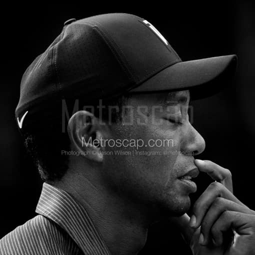 Matte Black WOOD Framed Black and White Golf Photograph: Tiger Woods Concentrating before a Shot in a Square Matte Black Wood Frame