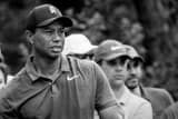 Horizontal Tiger Woods Waiting to Hit black and white Photos