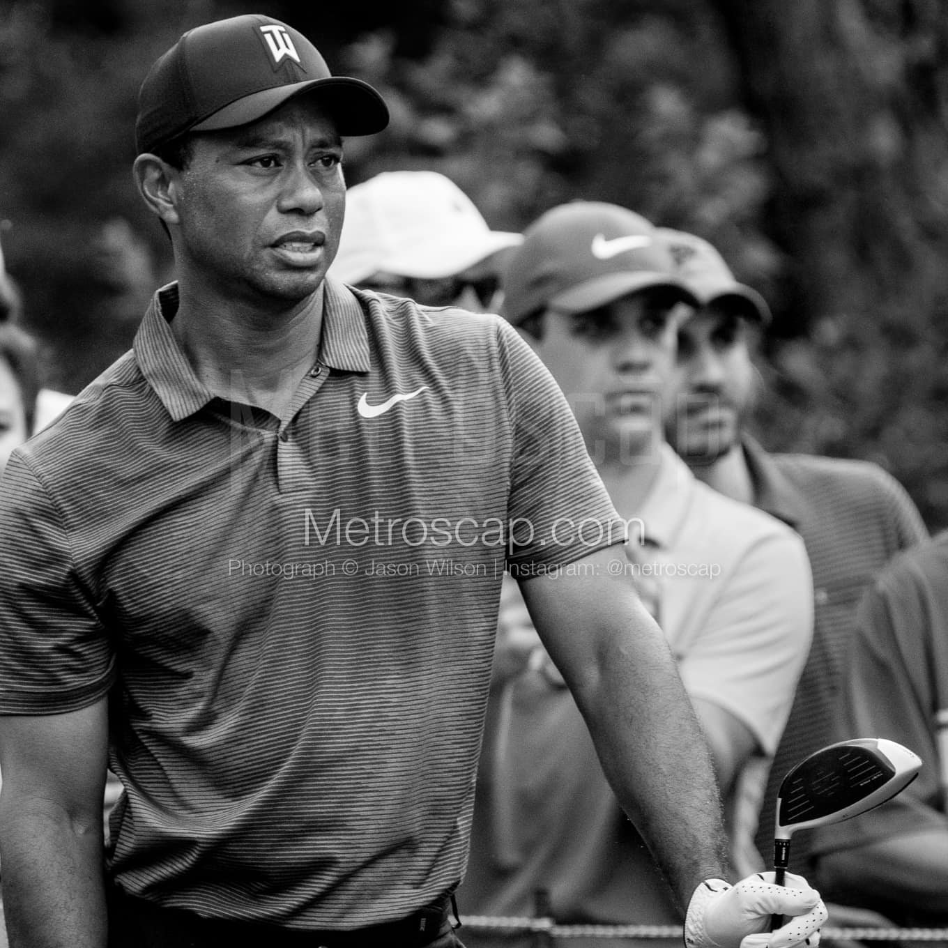 Tiger Woods Waiting to Hit black and white Photos square crop