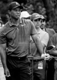 Vertical Tiger Woods Waiting to Hit black and white Photos