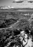 Vertical The Colorado River in the Grand Canyon black and white Photography