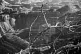 Horizontal Dead Trees on the South Rim of the Grand Canyon black and white Photography