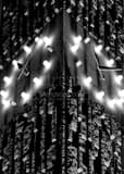 Vertical The Clock Tower in Constitution Plaza black and white Photos