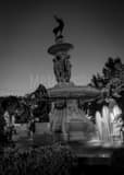 Vertical The Corning Fountain in Bushnell Park black and white Photos