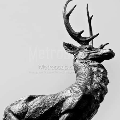 A Hartford Stag atop the Corning Fountain -- Hartford Black and White Photos