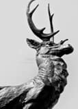 Vertical A Hartford Stag atop the Corning Fountain black and white Photos