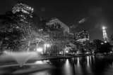 Horizontal Lily Pond in Bushnell Park black and white Photos