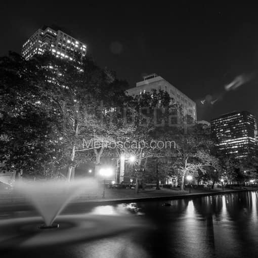 Lily Pond in Bushnell Park -- Hartford Black and White Photos