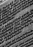 Vertical Memorial Scroll near Hartford Old State House  black and white Photos