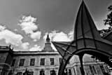 Horizontal The Red Stegosaurus in the Main Street Historical District black and white Photos