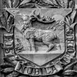 Square The Stag Relief on the Soldiers and Sailors Memorial black and white Photos