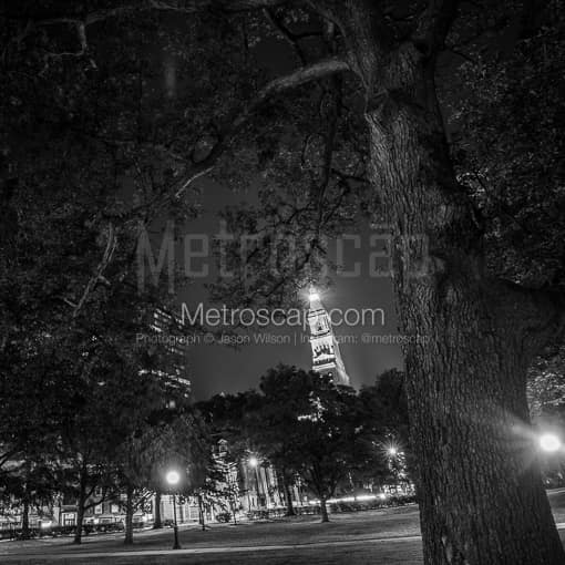 The Travelers Building at Night from Bushnell Park -- Hartford Black and White Photos