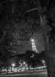 Vertical The Travelers Building at Night from Bushnell Park black and white Photos