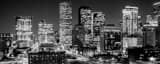 Panoramic Downtown Houston at Night landscape black and white Photography