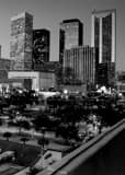 Vertical The Houston Skyline at Dusk landscape black and white Photography