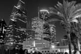 Horizontal Carriage Rides to See the Houston Skyline landscape black and white Photography
