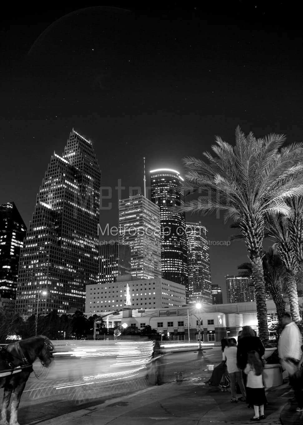 Carriage Rides to See the Houston Skyline black and white Pictures