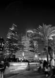 Vertical Carriage Rides to See the Houston Skyline landscape black and white Photography