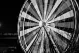 Horizontal The Houston Aquarium Ferris Wheel landscape black and white Photography