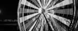 Panoramic The Houston Aquarium Ferris Wheel landscape black and white Photography