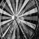 Square The Houston Aquarium Ferris Wheel landscape black and white Photography