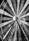 Vertical The Houston Aquarium Ferris Wheel landscape black and white Photography