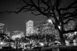 Horizontal The Houston Skyline from Root Square landscape black and white Photography