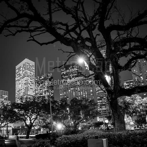 The Houston Skyline from Root Square -- Houston Black and White Photography
