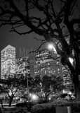 Vertical The Houston Skyline from Root Square landscape black and white Photography