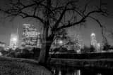 Horizontal The Houston Skyline in Buffalo Bayou landscape black and white Photography