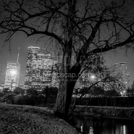 The Houston Skyline in Buffalo Bayou -- Houston Black and White Photography