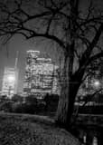 Vertical The Houston Skyline in Buffalo Bayou landscape black and white Photography