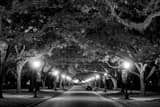 Horizontal Rice University landscape black and white Photography