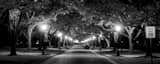 Panoramic Rice University landscape black and white Photography