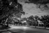 Horizontal Main and Fanin near Rice University landscape black and white Photography