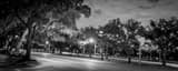 Panoramic Main and Fanin near Rice University landscape black and white Photography
