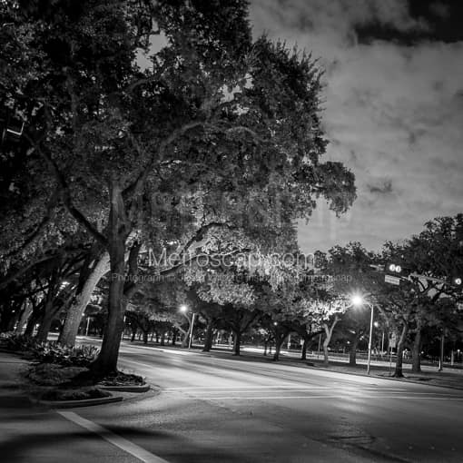 Main and Fanin near Rice University -- Houston Black and White Photography