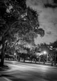 Vertical Main and Fanin near Rice University landscape black and white Photography