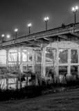Vertical The Sabine Bridge in Elanor Tinsley Park landscape black and white Photography