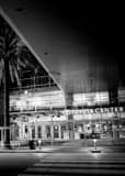 Vertical The Toyota Center landscape black and white Photography