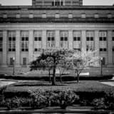 Square The Indianapolis Main Post Office and Court House black and white Photography